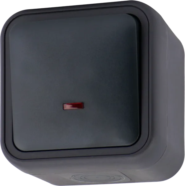 Donel W55 Выключатель звонкового типа 1-кл. накладной, с подсв., антрацит, IP55, серия (тип) DIP55 — фото 2