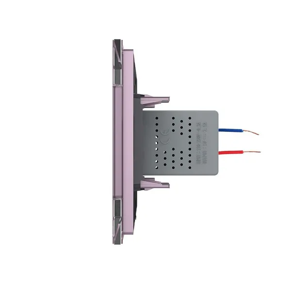 Розетка USB с блоком 5В 2.1А Розовая Livolo — фото 3