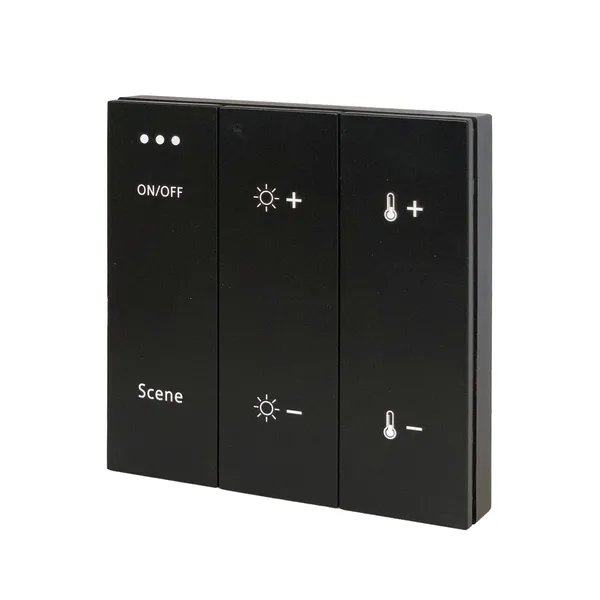 Панель управления трековой системой SKYLINE 220 Черный ST015.400.99 ST LUCE