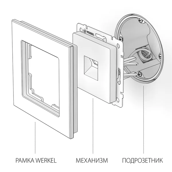 Розетка Ethernet RJ-45 (графит рифленый) СУ IP20 Werkel — фото 3