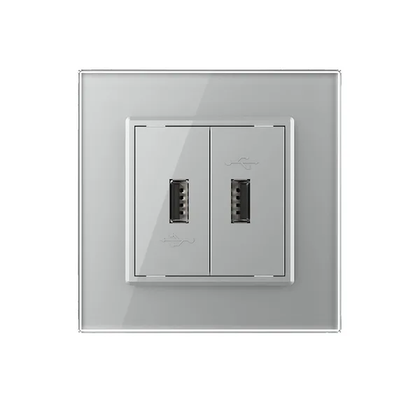 Розетка USB с блоком 5В 2.1А двойная Серая Livolo — фото 2