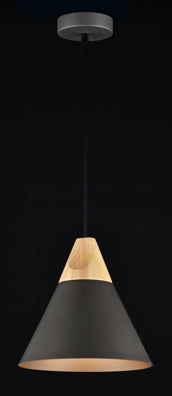 Подвесной светильник 1*E27 60Вт Черный IP20 Bicones P359-PL-220-C Maytoni — фото 4