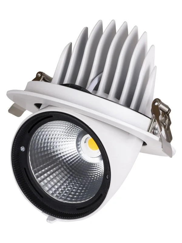 Светильник встраиваемый поворотный "Акцент-1" LED DSL-01-040-NW 40 Вт, 24°, 4000 К, 90 Ra, IP40, TDM — фото 2