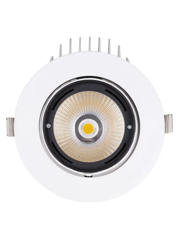 Светильник встраиваемый поворотный "Акцент-1" LED DSL-01-040-NW 40 Вт, 24°, 4000 К, 90 Ra, IP40, TDM — фото 5