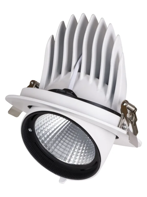 Светильник встраиваемый поворотный "Акцент-1" LED DSL-01-040-NW 40 Вт, 24°, 4000 К, 90 Ra, IP40, TDM — фото 3