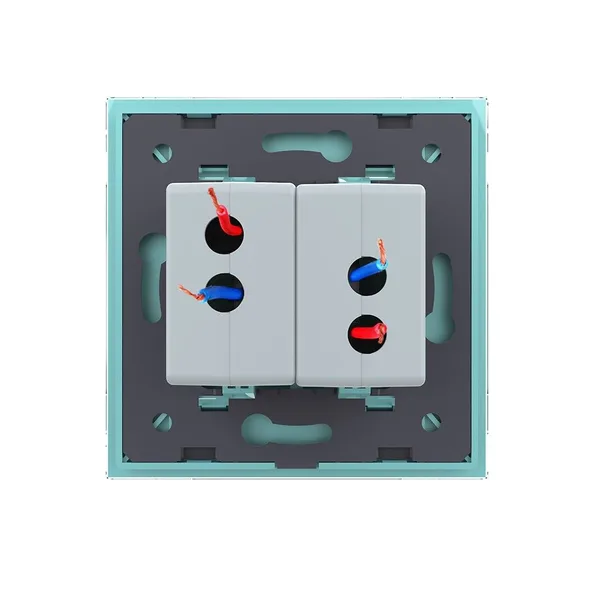 Розетка USB с блоком 5В 2.1А двойная Зеленая Livolo — фото 4