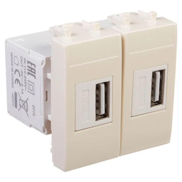 USB зарядное устройство модульное, "Avanti", "Ванильная дымка", 2 модуля DKC — фото 2