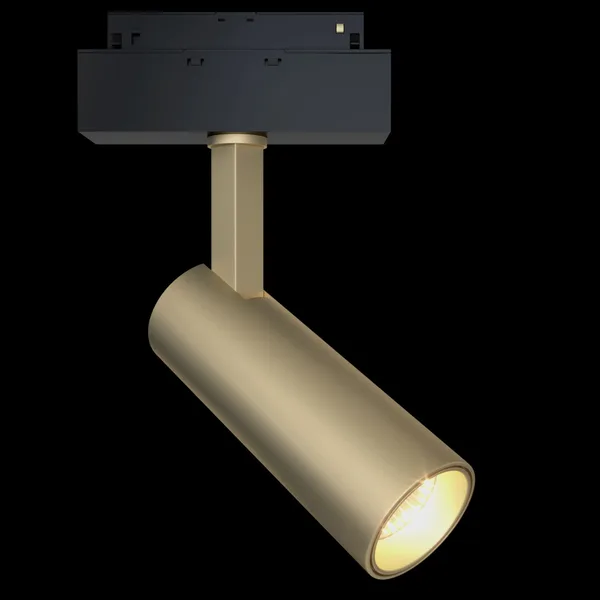 Светильник трековый 13Вт 3000K Матовое Золото IP20 Focus LED TR019-2-10W3K-MG Technical Maytoni — фото 2