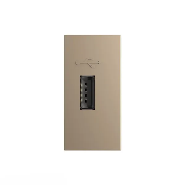 Розетка USB с блоком питания золотая (механизм) Livolo — фото 2
