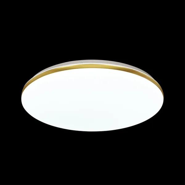 Св-к пластик/белый/золотистый LED 18Вт 4000К D280 IP43 LASSA SONEX — фото 2