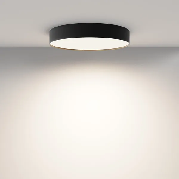 Потолочный светильник LED 45Вт Черный IP20 Ceiling & Wall C032CL-45W4K-RD-B Technical Maytoni — фото 4