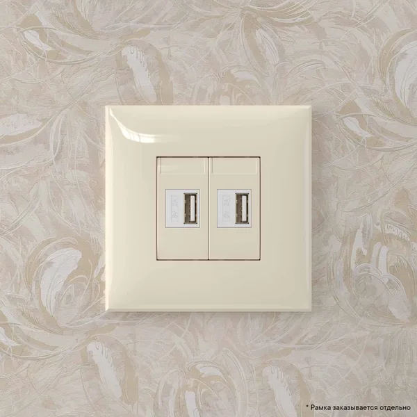 USB зарядное устройство в стену, "Avanti", "Ванильная дымка" DKC — фото 6