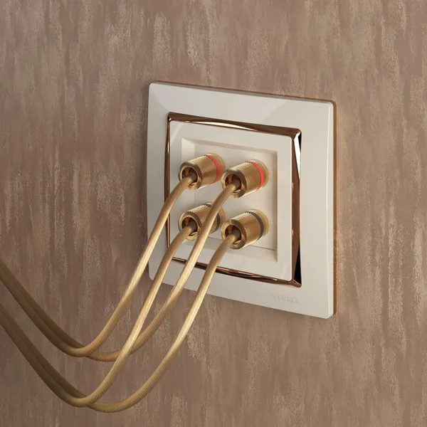 Акустическая розетка (слоновая кость) СУ IP20 Werkel — фото 2