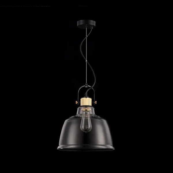 Подвесной светильник 1*E27 40Вт Черный IP20 Irving T163PL-01W Maytoni — фото 8