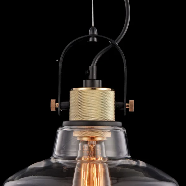 Подвесной светильник 1*E27 40Вт Черный IP20 Irving T163PL-01W Maytoni — фото 2