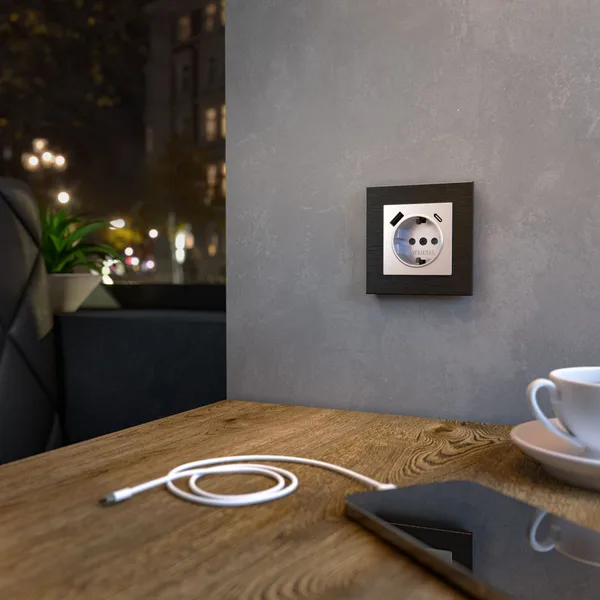 Розетка с быстрой зарядкой USB Type A+С серебряная Werkel — фото 2