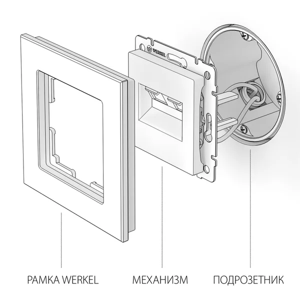 Розетка двойная Ethernet RJ-45 (слоновая кость) СУ IP20 Werkel — фото 5