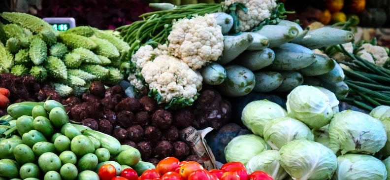 Чистец: полезный продукт для очищения организма и похудения Чистец: полезный продукт для очищения организма и похудения
