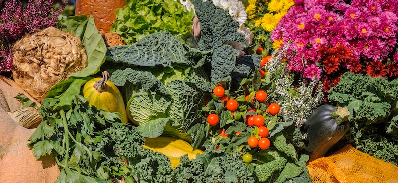 Амбарелла: полезный продукт для здоровья и похудения Амбарелла: полезный продукт для здоровья и похудения