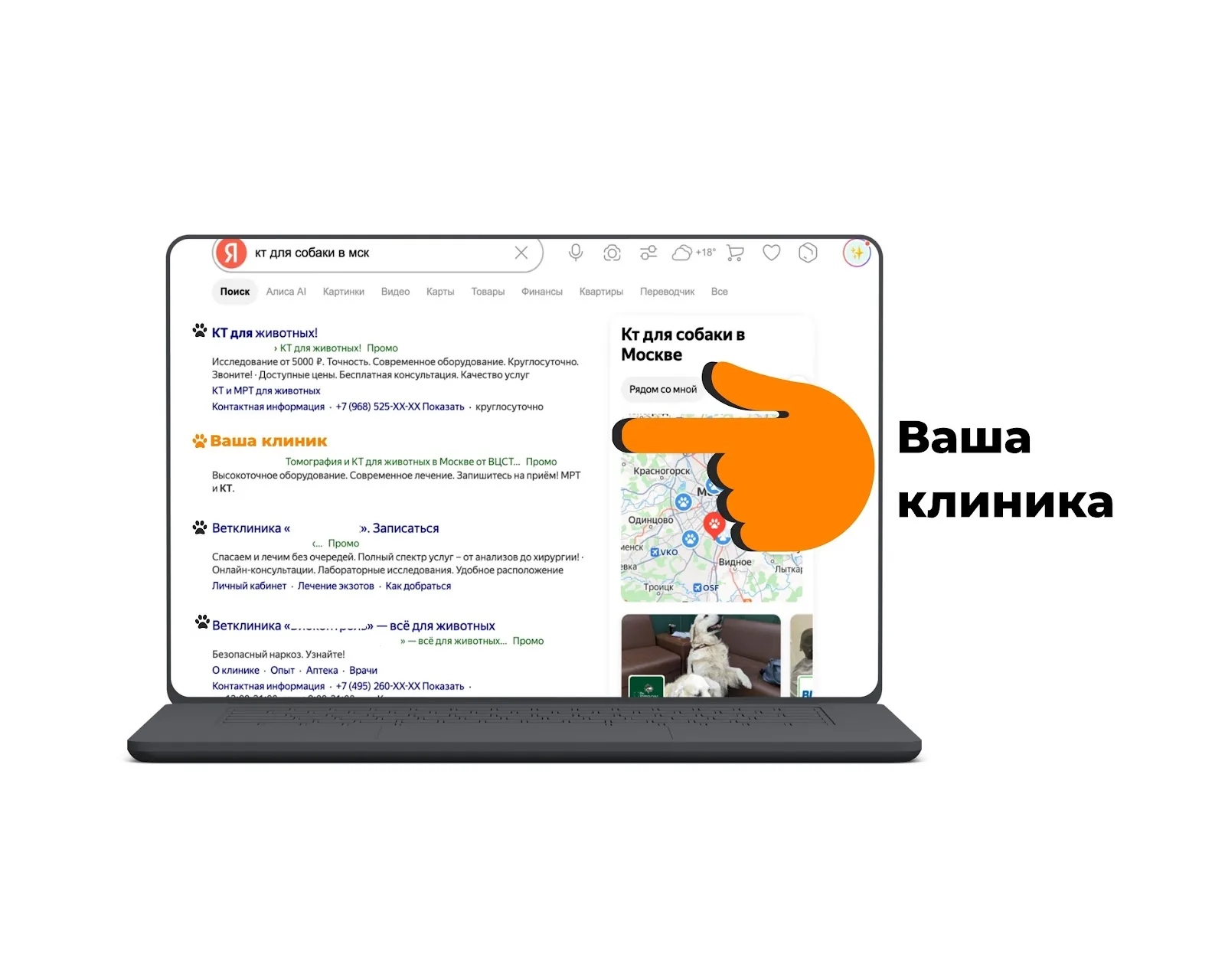 Реклама ветеринарной клиники в Яндекс.Директ — контекстная реклама в поиске