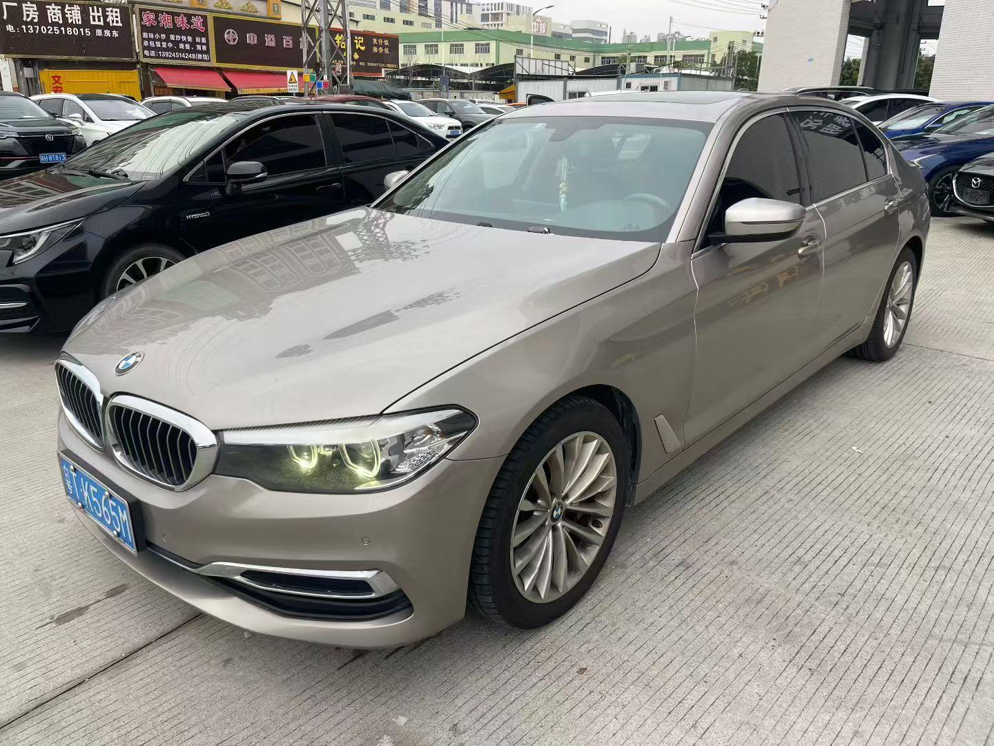 BMW 5 Series Leading Luxury 2019