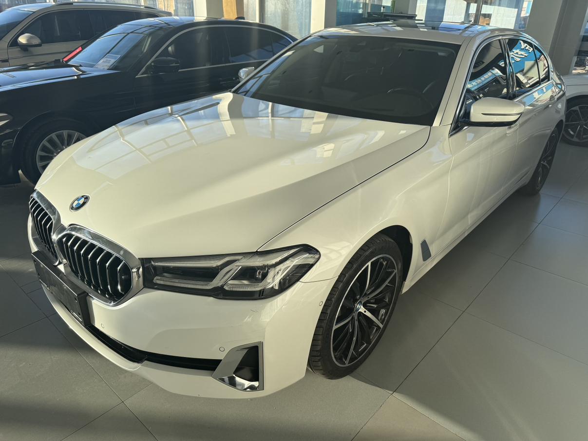 BMW 5 Series Executive Luxury 2021