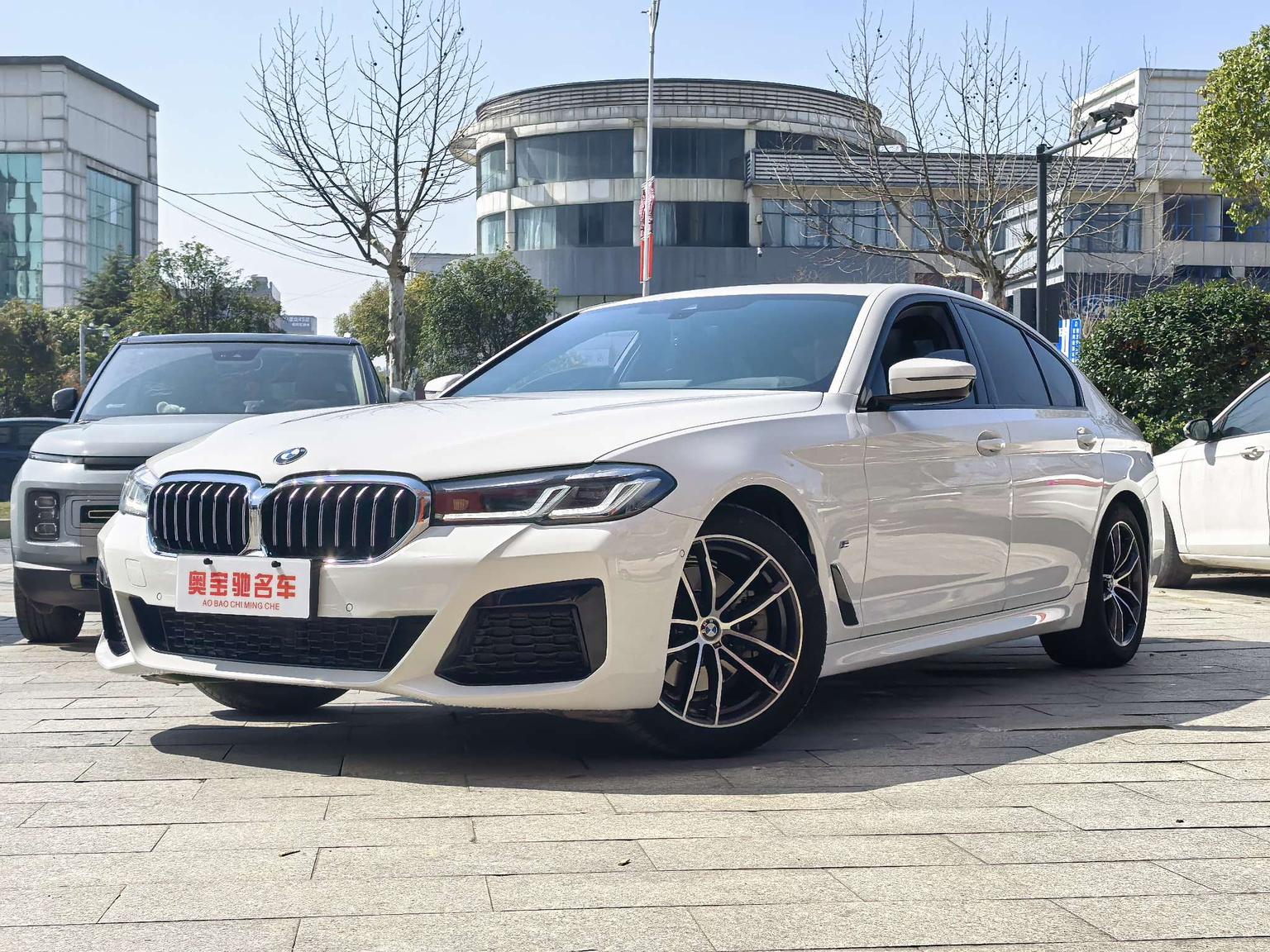 BMW 5 Series M Sport Package (2L) 2021