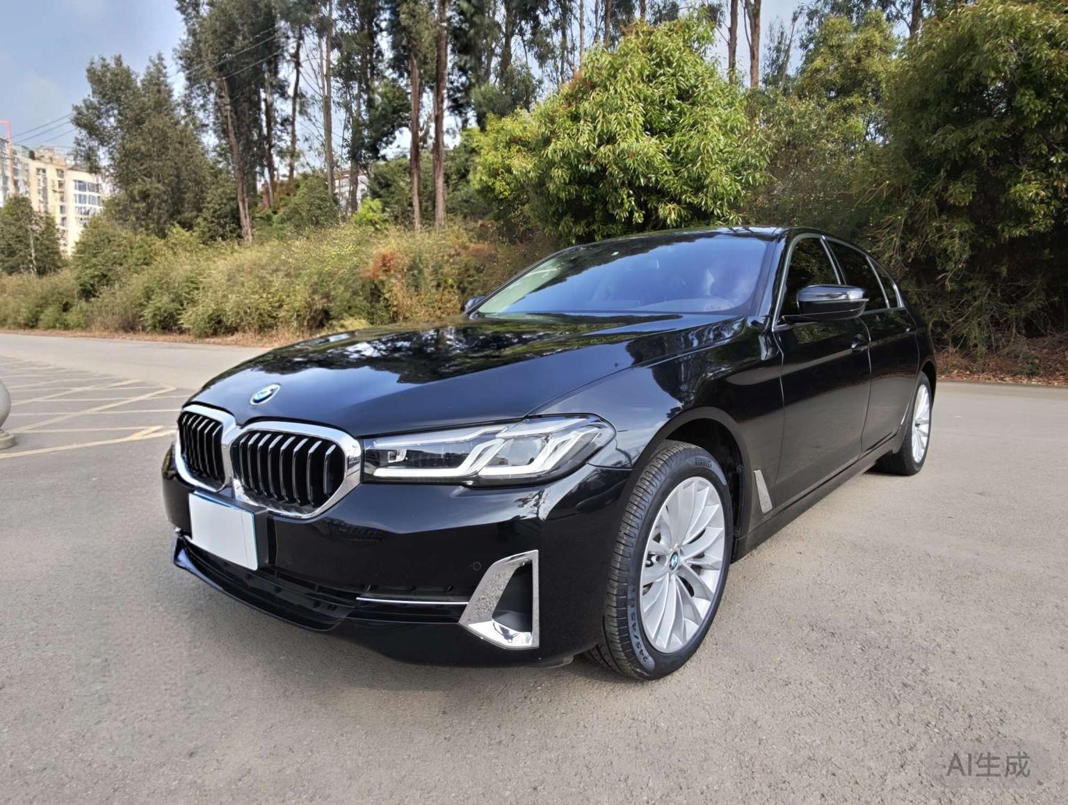 BMW 5 Series 525Li Luxury Package 2022