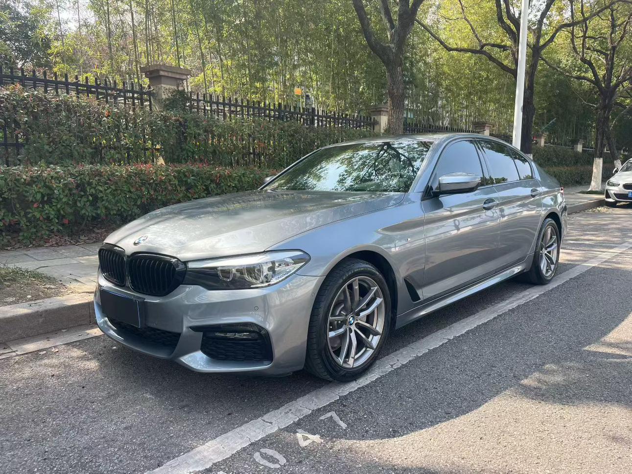 BMW 5 Series M Sport Package (2L) 2019