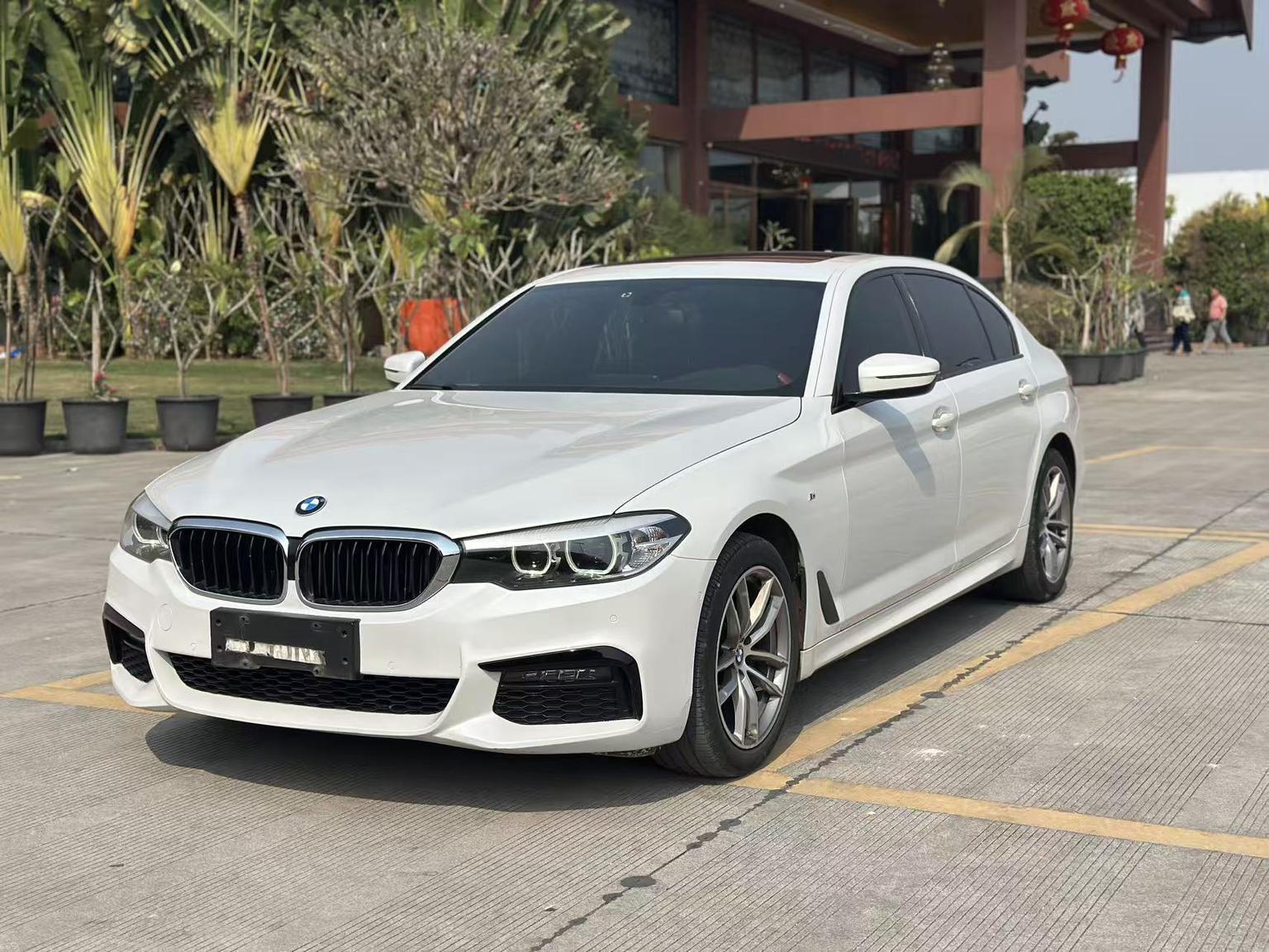 BMW 5 Series M Sport Package (2L) 2019