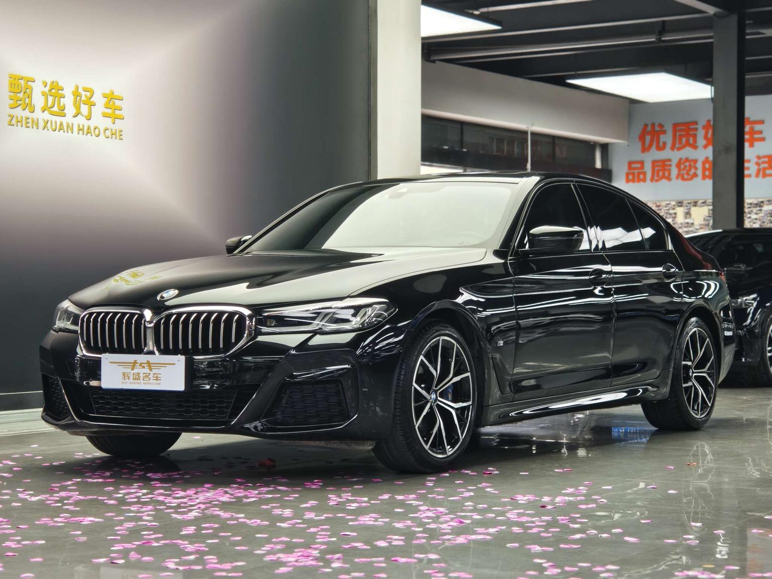BMW 5 Series M Sport Package 2021