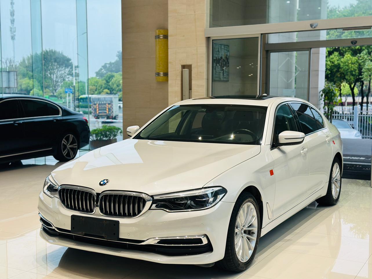BMW 5 Series Executive Luxury 2019