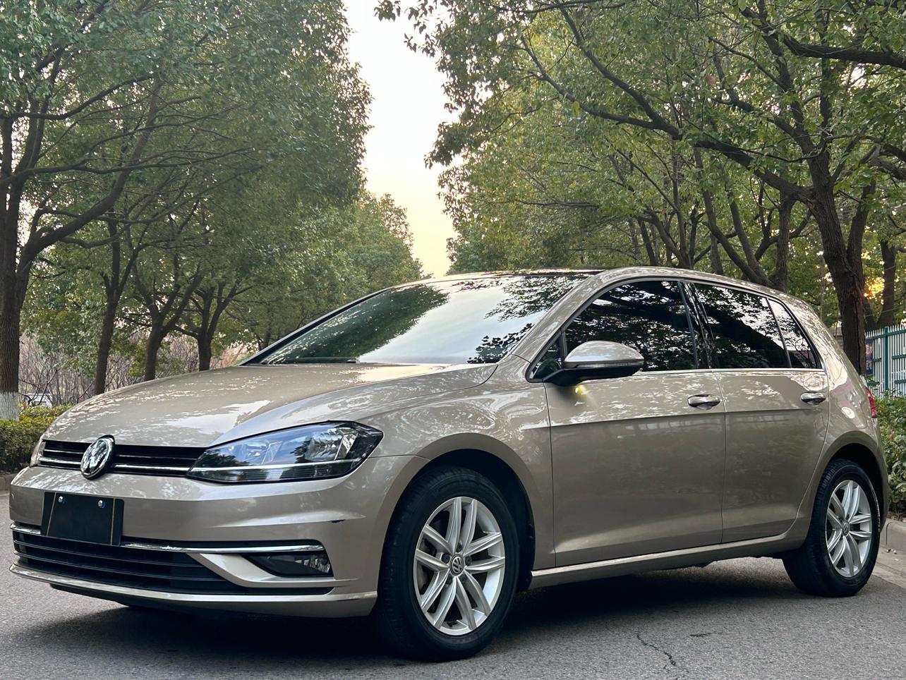 Volkswagen Golf 200TSI DSG Comfort Progressive Edition China VI 2019