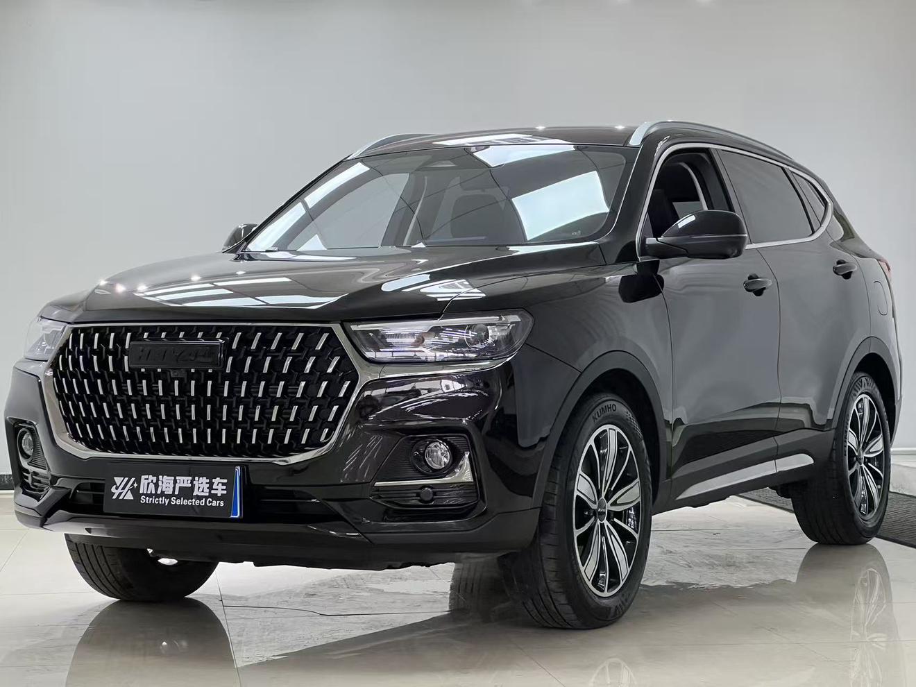 Haval H6 Nation Trend 1.5T Auto Champion (1.5L) 2023