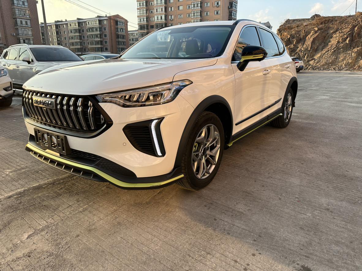 Haval Olet Jinxiang 1.5T Purple Copper Rabbit (1.5L) 2022