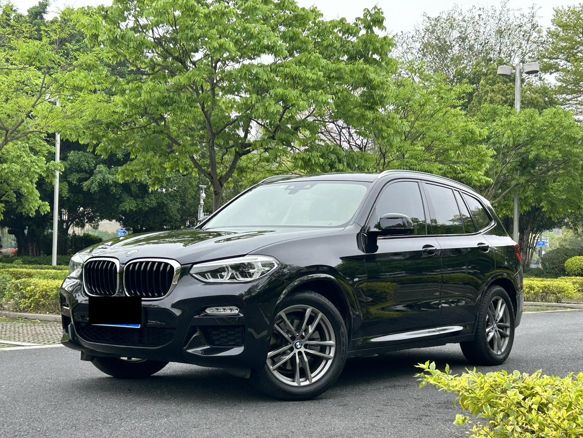 BMW X3 xDrive30i M Sport Package Leading 2019