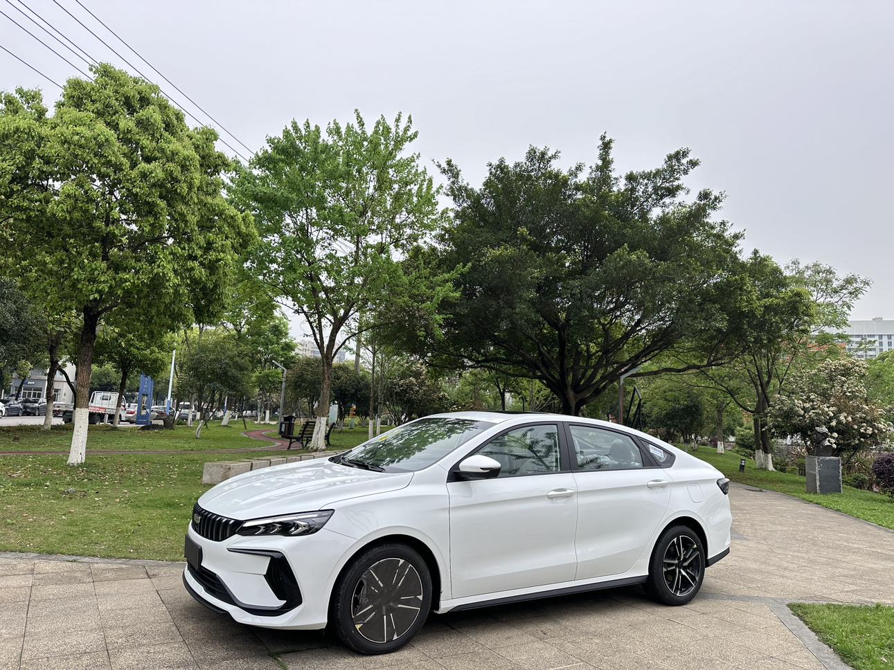 Geely Binrui Champion Edition 2026