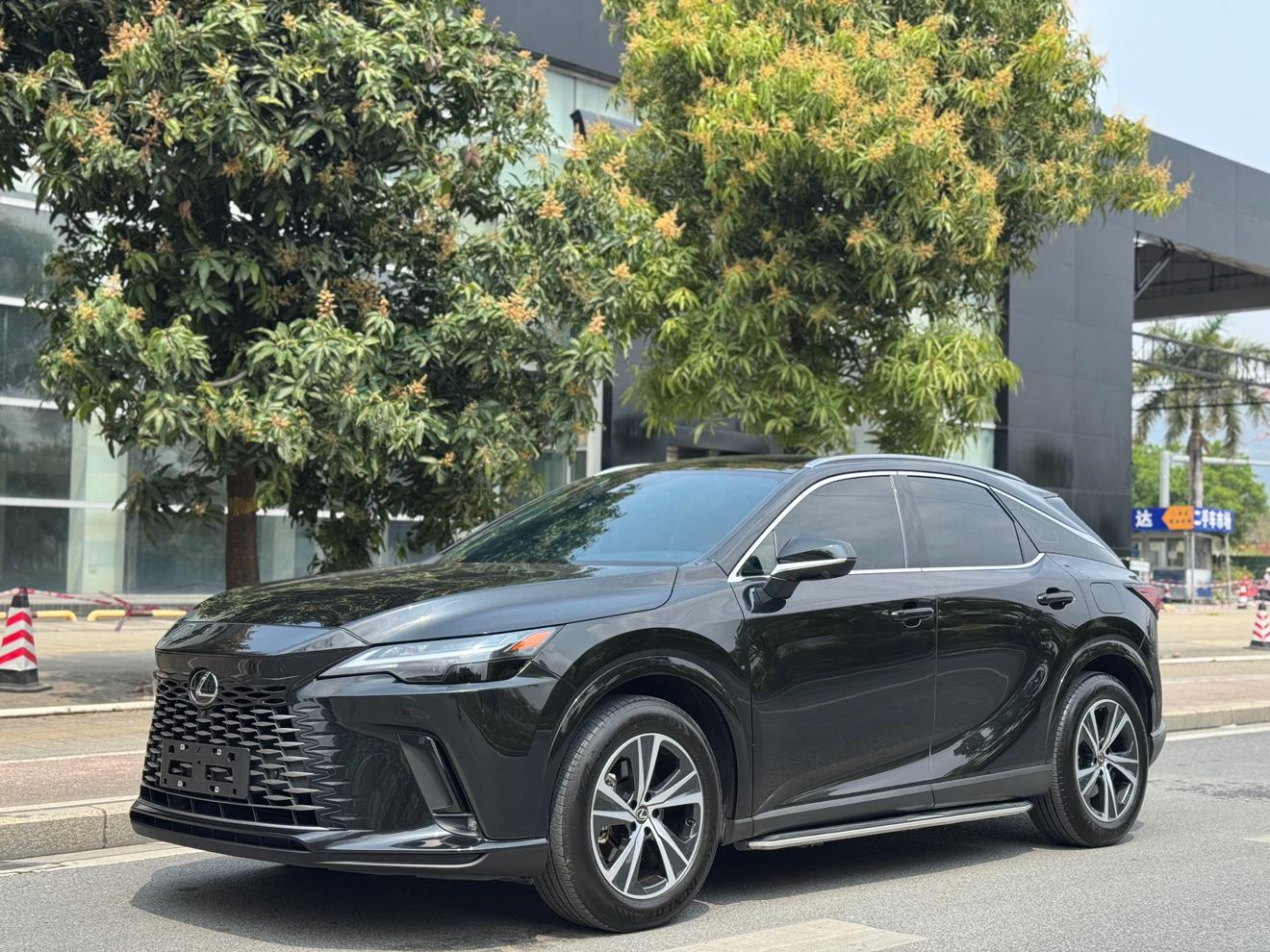 Lexus RX300 Comfort Edition 2WD 2024