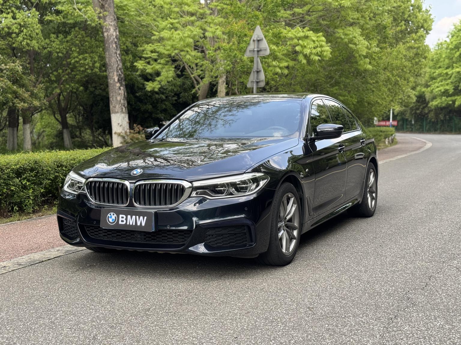 BMW 5 Series M Sport Package (2L) 2020