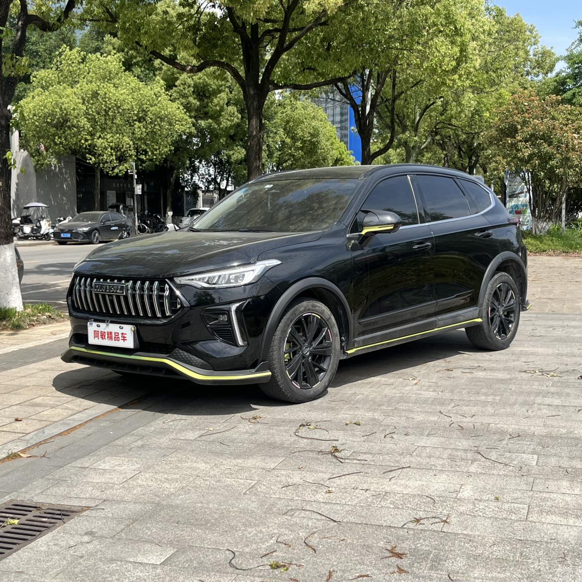 Haval Olet 1.5T Extreme Gold Rabbit 2022