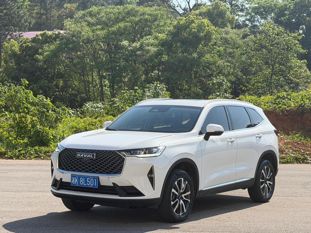 Haval H6 3rd Gen 1.5T Auto 2WD Max 2023