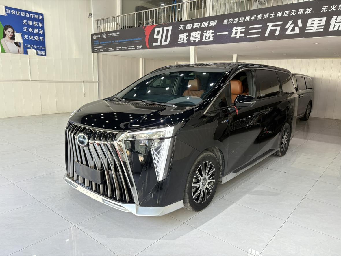 Gac Trumpchi E9 2.0TM Champion Edition 2024