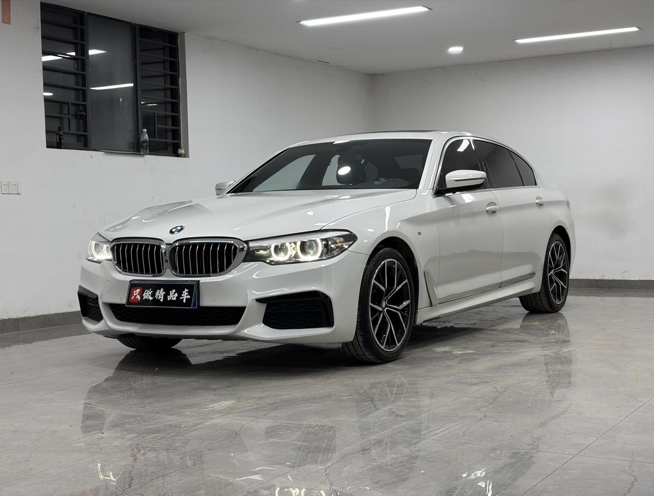 BMW 5 Series M Sport Package (2L) 2020