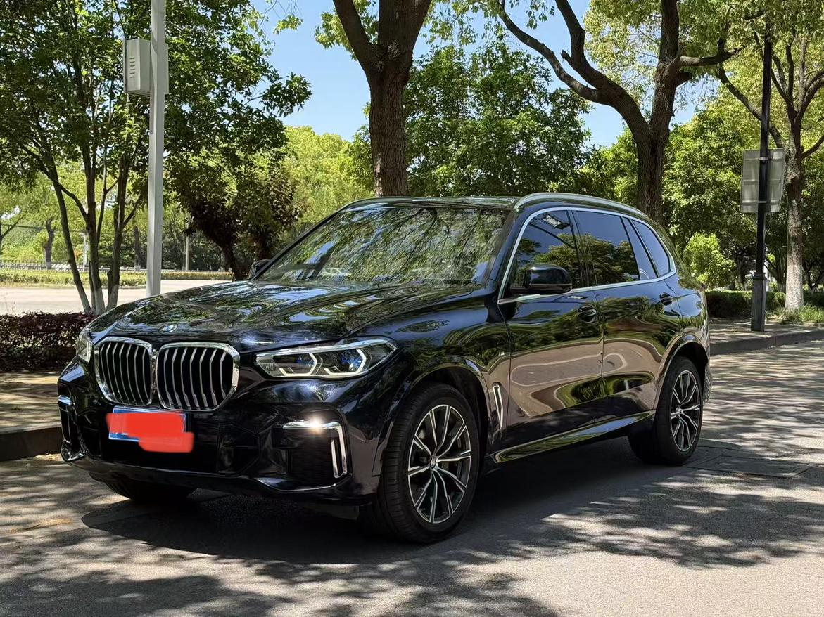 BMW X5 xDrive30Li M Sport Package (2L) 2023