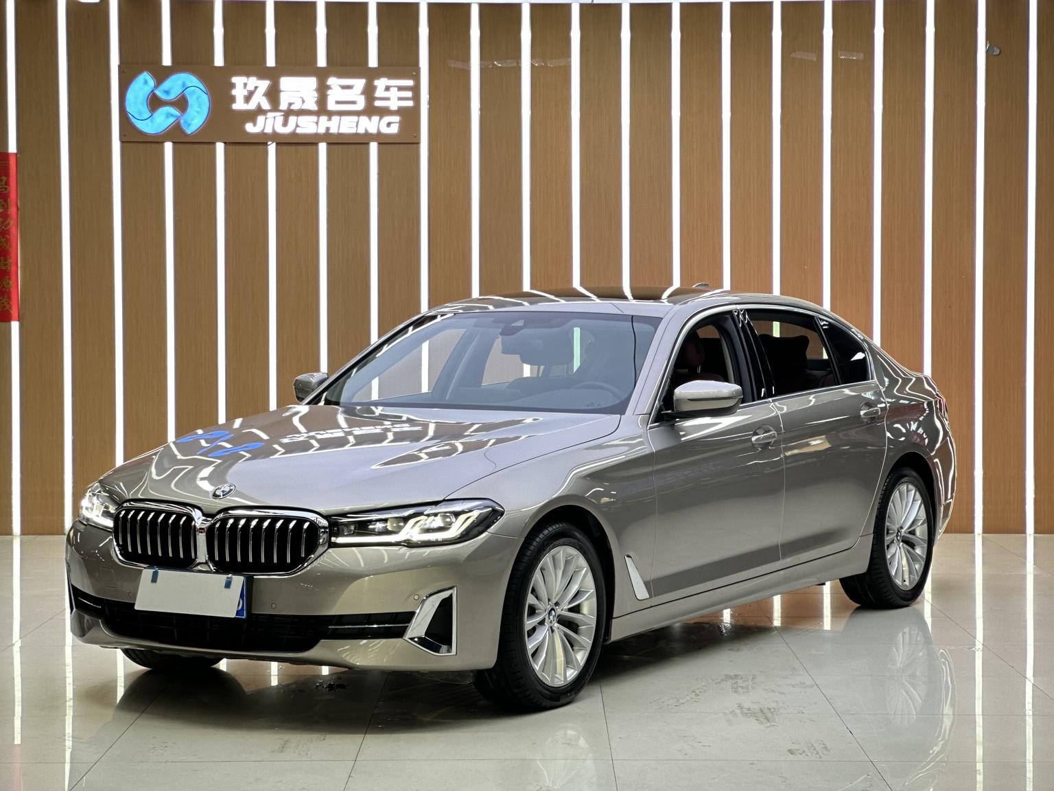 BMW 5 Series Luxury LWB (2L) 2022