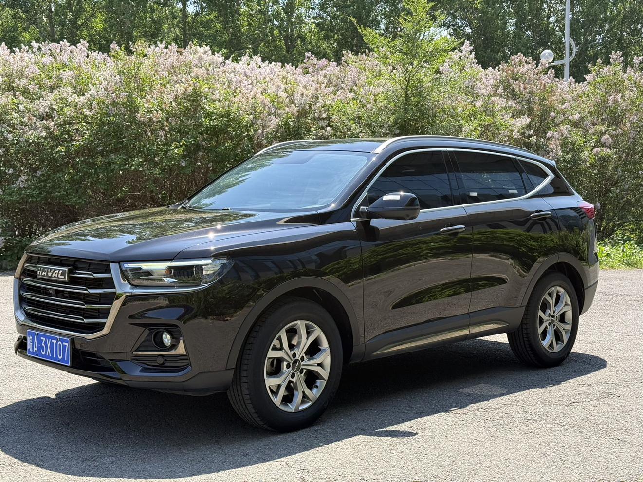 Haval H6 1.5T Auto Champion 2022