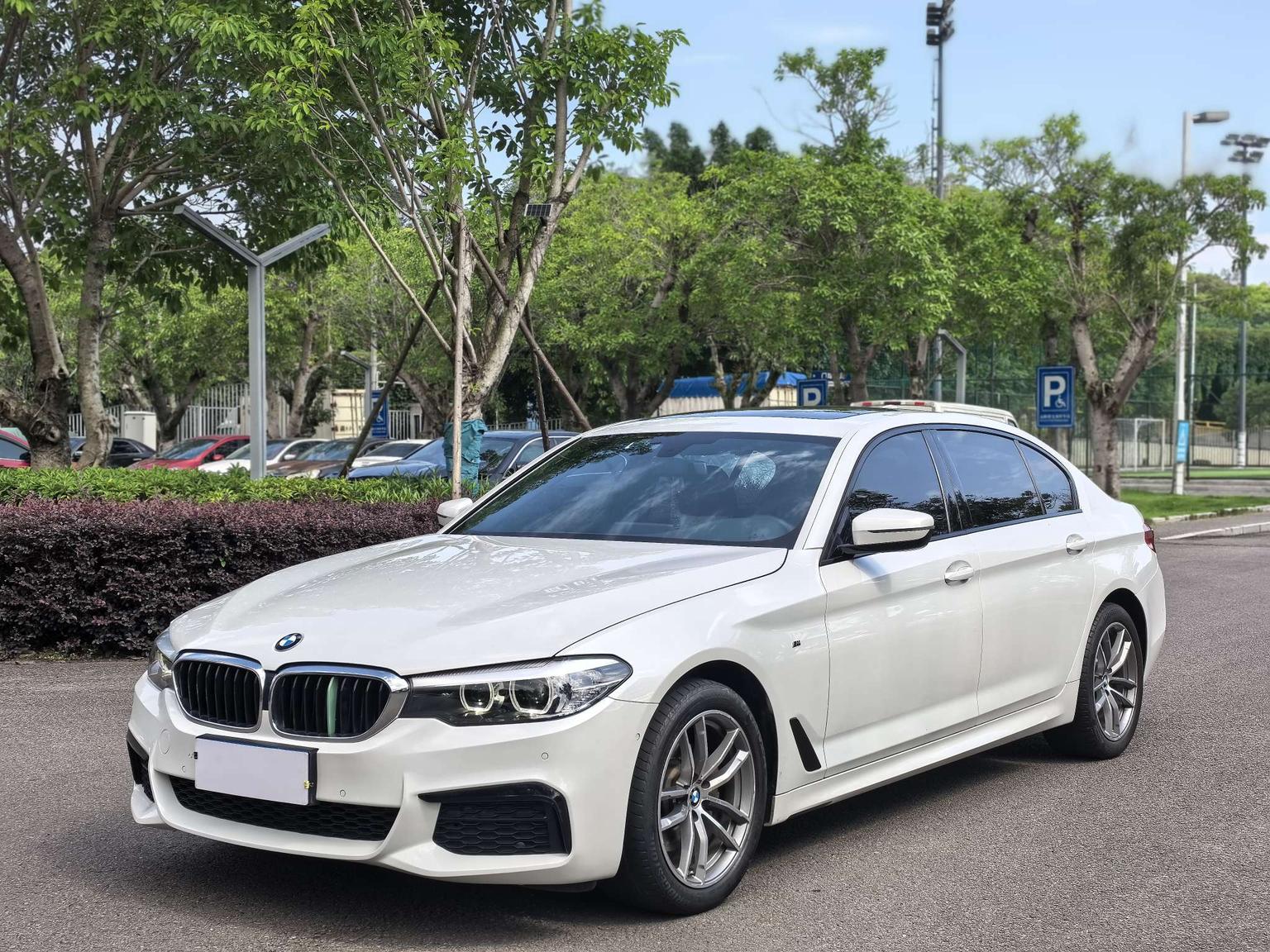 BMW 5 Series M Sport LWB (2L) 2019