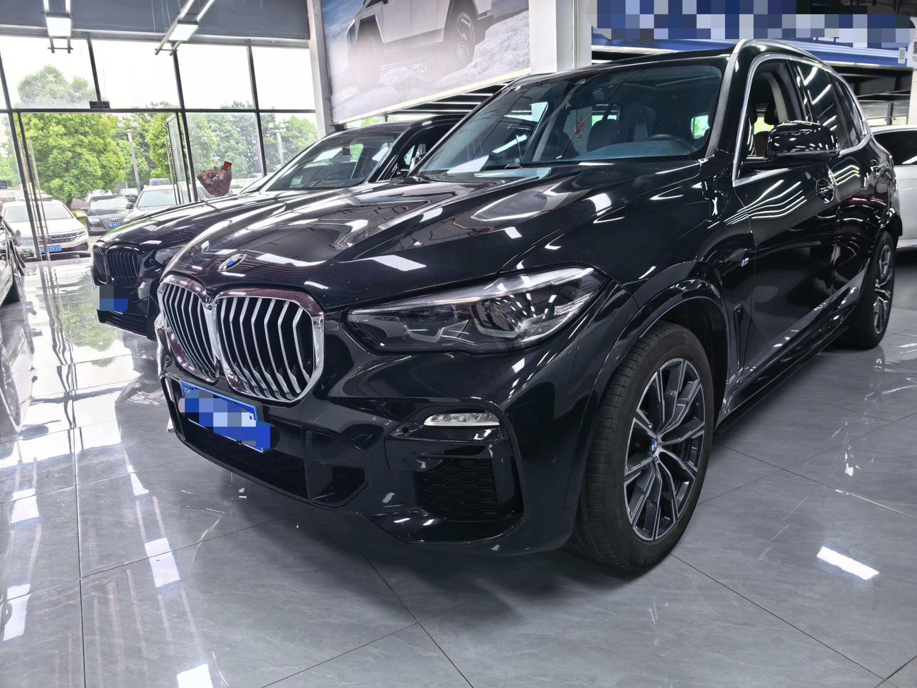BMW X5 xDrive30i X Design Package (2L) 2021