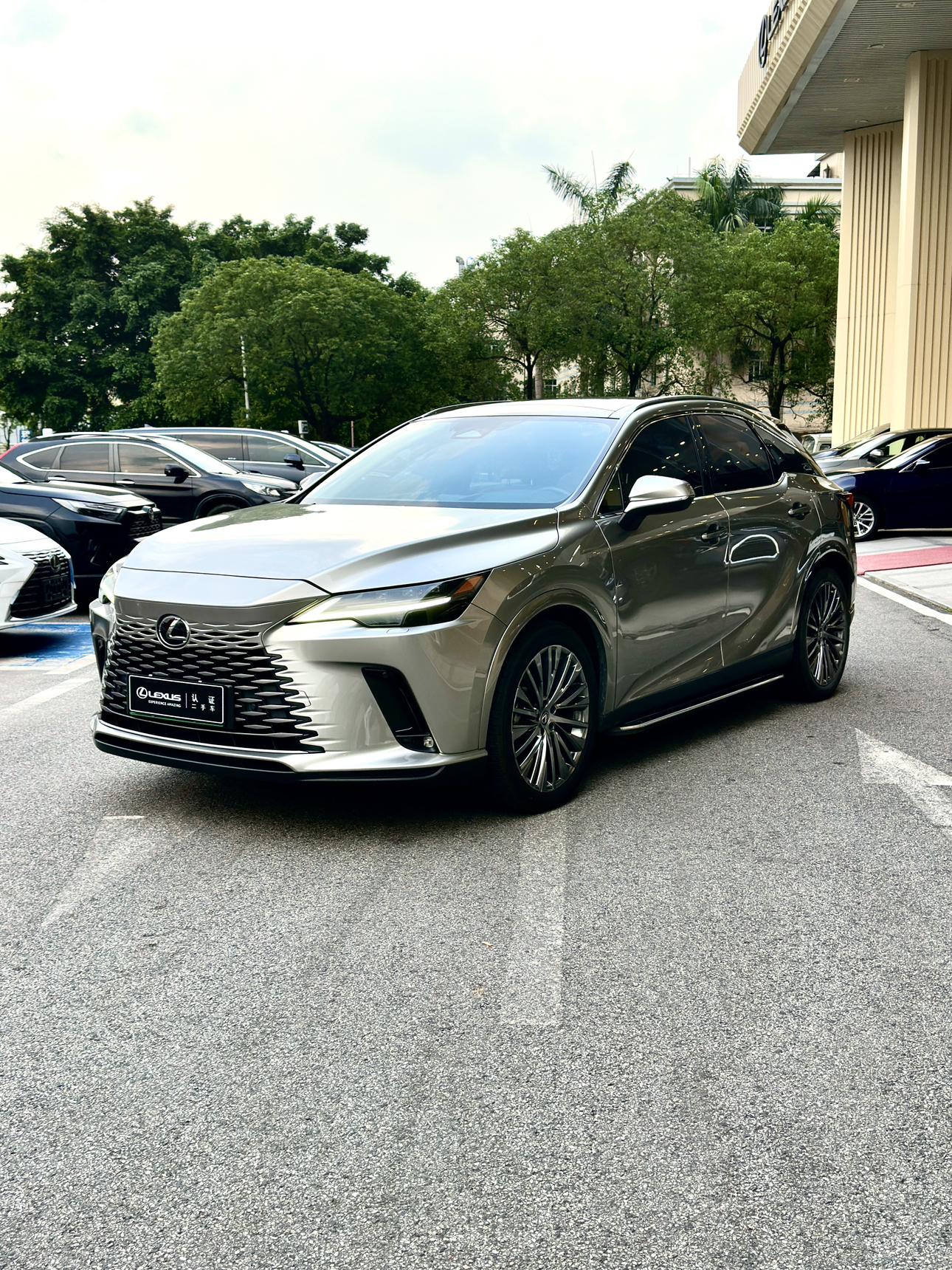 Lexus RX300 AWD Enjoy Edition 2024