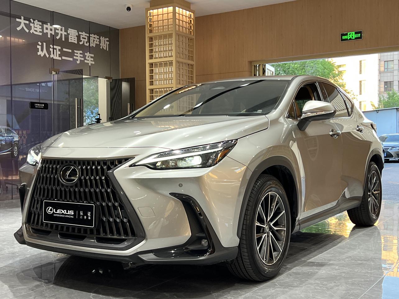 Lexus NX200 Joy Creation Edition FWD 2024